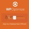 WP Optimize Premium dashboard displaying advanced optimization features such as scheduled cleanups, image compression, and caching options.