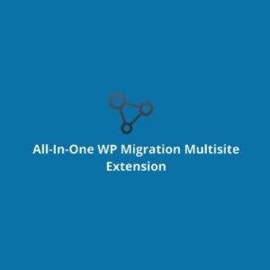 All in One WP Migration Multisite Extension interface showing options for exporting and importing WordPress multisite data.