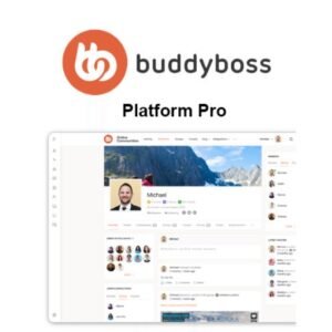 BuddyBoss Platform Pro dashboard showcasing community and membership management features for WordPress