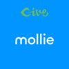 The Give – Mollie Payment Gateway Addon enables nonprofits to accept a wide range of payment methods, including credit cards, bank transfers, and local options popular in Europe. With Mollie’s user-friendly interface, nonprofits can provide a seamless and secure donation experience.