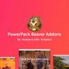 PowerPack for Beaver Builder is a must-have add-on for Beaver Builder users, offering a robust collection of advanced modules and templates to enhance your design capabilities.