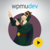 WPMU DEV Hustle is a powerful marketing plugin for WordPress that helps you convert visitors into subscribers and customers with stylish popups, opt-in forms, slide-ins, social shares, and targeted promotions. Whether you're building an email list or promoting a special offer, Hustle gives you everything you need — all fully customizable and GDPR-ready.