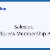 salesloo preview